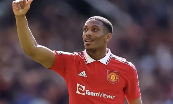 这也进一步 这也进一步